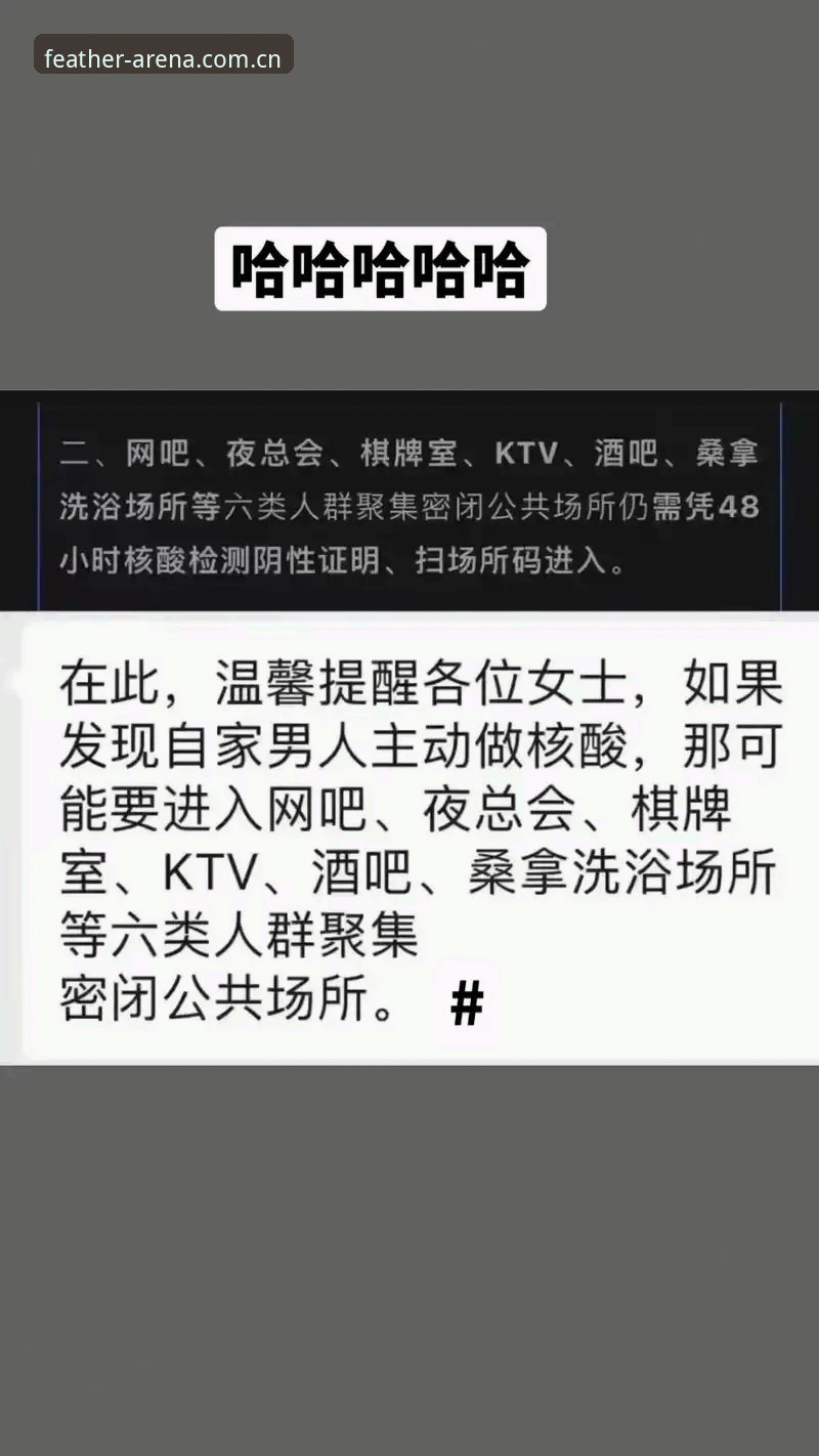 小鸟棋牌体育2026新版客户端全面解析：数据、避坑与效率升级