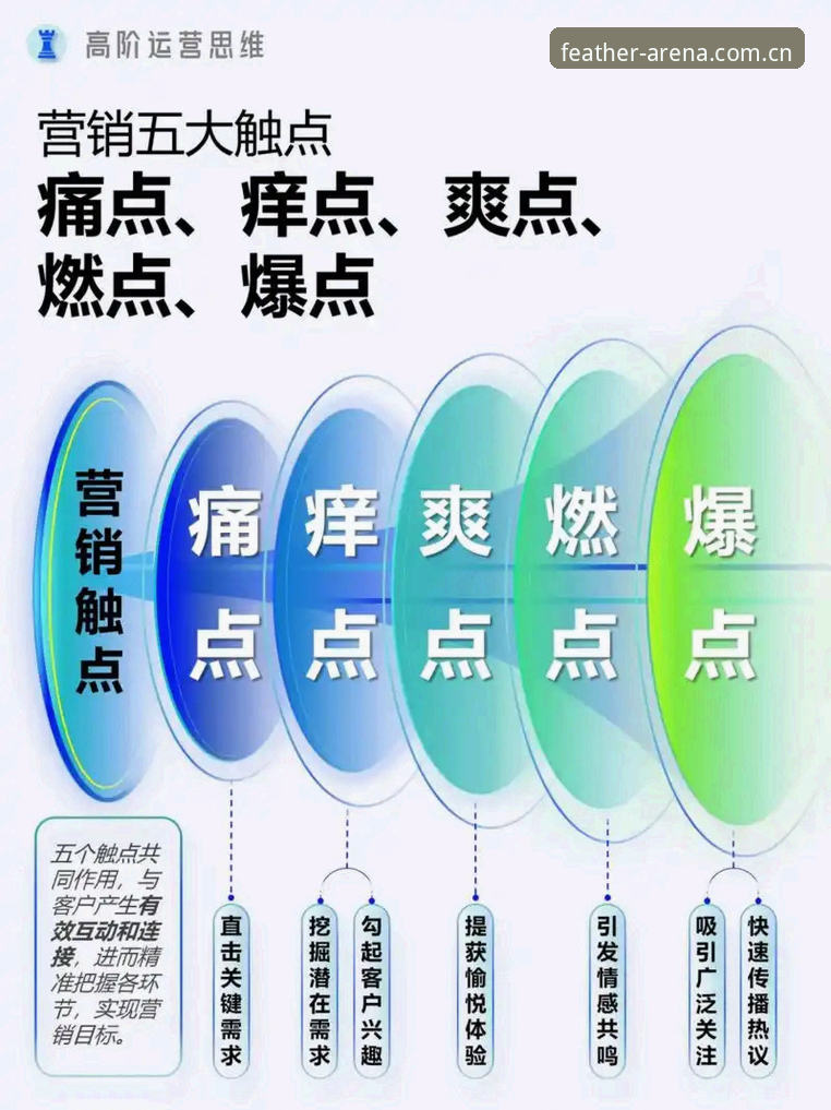 小鸟棋牌体育体育资讯 小鸟棋牌体育体育资讯全面解析:用户最关心的五个痛点与应对方案