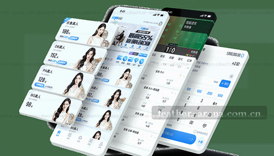 本站可以查询哪些赛事项目